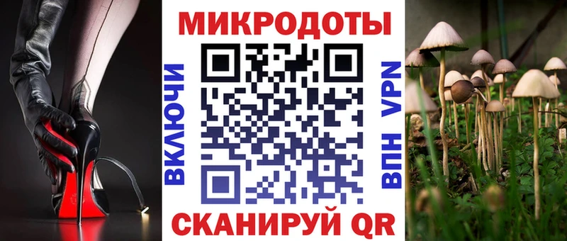 Псилоцибиновые грибы Psilocybine cubensis  Красный Холм 